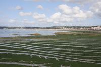 Ebbe in der St. Aubin's Bay