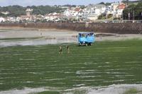 zu Fuß oder per Puddle Duck