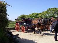 Pferdekutsche - ein Transportmittel auf der Insel Sark