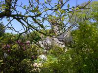 Garten - La Seigneurie