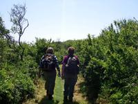 Wanderung auf der Insel Sark