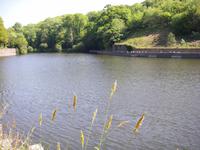 Millbrook Reservoir