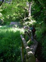 Wanderung durch Waterwork Valley