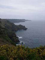 Nordküste von Jersey