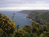 Nordküste von Jersey