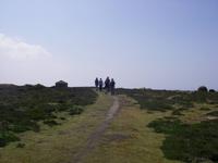 Wanderung entlang der Südküste von Jersey