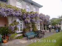 Wohnhaus von Mrs. Bea mit Glyzinien