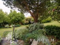 vollendete Gartenkomposition