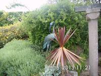 Auch Kunst gehört dazu