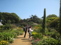 im Garten der Seigneurie auf Sark