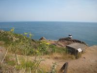 Noirmon Point Jersey