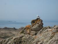 am Corbiere Leuchtturm