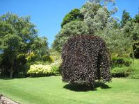 im Privatgarten von Lady Guthrie