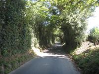 Green Lane auf Jersey
