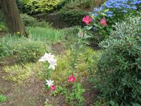 108_Privatgarten von Lady Guthrie