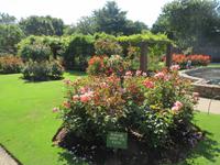 162_Howard Davis Park