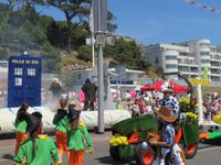 171_Battle of Flowers