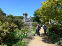 Sark-im Garten der Seigneurie
