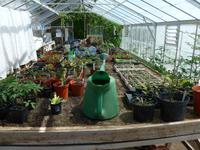 Sark-Gewächshaus in der Seigneurie