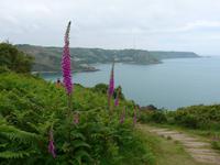 Jersey-Nordküstenwanderweg