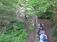 Jersey-Weg nach Rozel