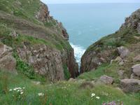 Jersey am Grosnez Castle