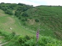 Jersey-Nordküstenwanderweg