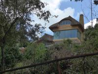 Guernsey-am Klippenweg