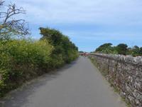 Jersey-Green Lane nach St. Aubin