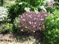 La Seigneurie auf Sark