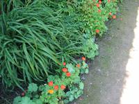 La Seigneurie auf Sark