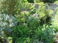 La Seigneurie auf Sark