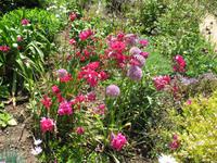 La Seigneurie auf Sark