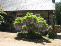 Sark Entdeckungstour