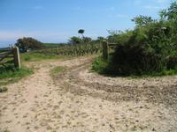 Sark Entdeckungstour