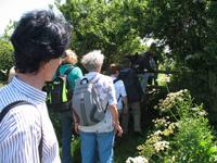 Sark Entdeckungstour