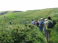 Sark Entdeckungstour