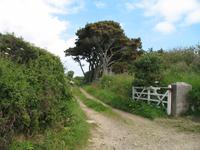 Sark Entdeckungstour