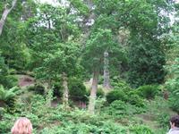 Jersey Inselrundfahrt