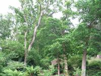 Jersey Inselrundfahrt