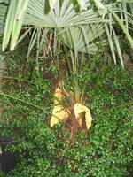 Jersey Inselrundfahrt