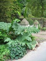 Jersey Inselrundfahrt