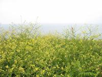 Jersey Inselrundfahrt