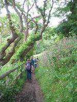Wanderung Bonne Nuit Bay zur Rozel Bay auf Jersey