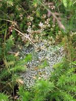 Wanderung Bonne Nuit Bay zur Rozel Bay auf Jersey