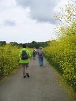 Wanderung Bonne Nuit Bay zur Rozel Bay auf Jersey