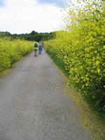 Wanderung Bonne Nuit Bay zur Rozel Bay auf Jersey