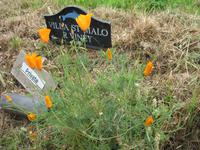 Wanderung Bonne Nuit Bay zur Rozel Bay auf Jersey