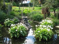 Guernsey Entdeckungstour