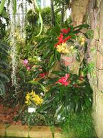 Eric Young Orchid Foundation auf Jersey